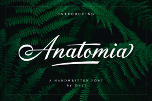 Anatomia Script Font for Modern Marketing and Design