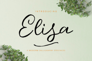 Elisa Font: A Playful Touch for Modern Branding Projects