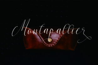 Montapallier Script: A Premium Handwritten Font for Branding