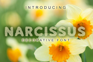 Narcissus Font for Creative Crafts and Print Projects